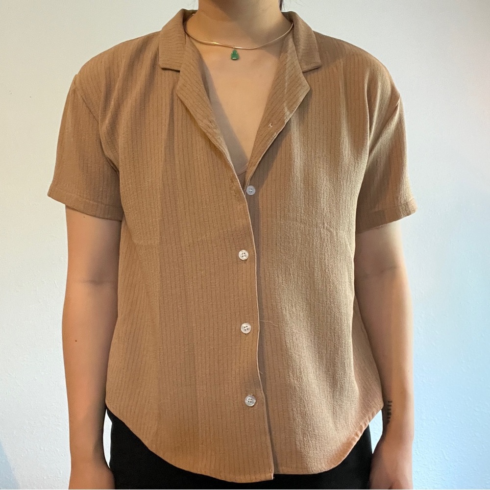 Brown/Tan Blouse
